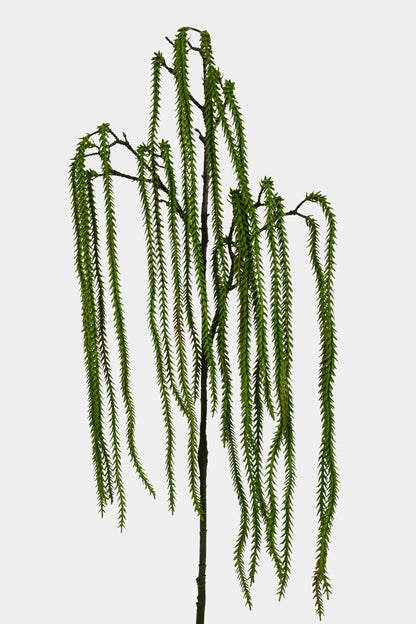 49" Hanging Willow Spray Green