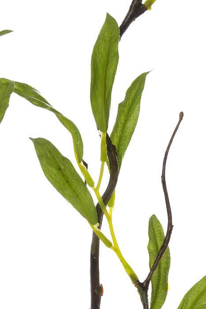 47" Willow Branch Green
