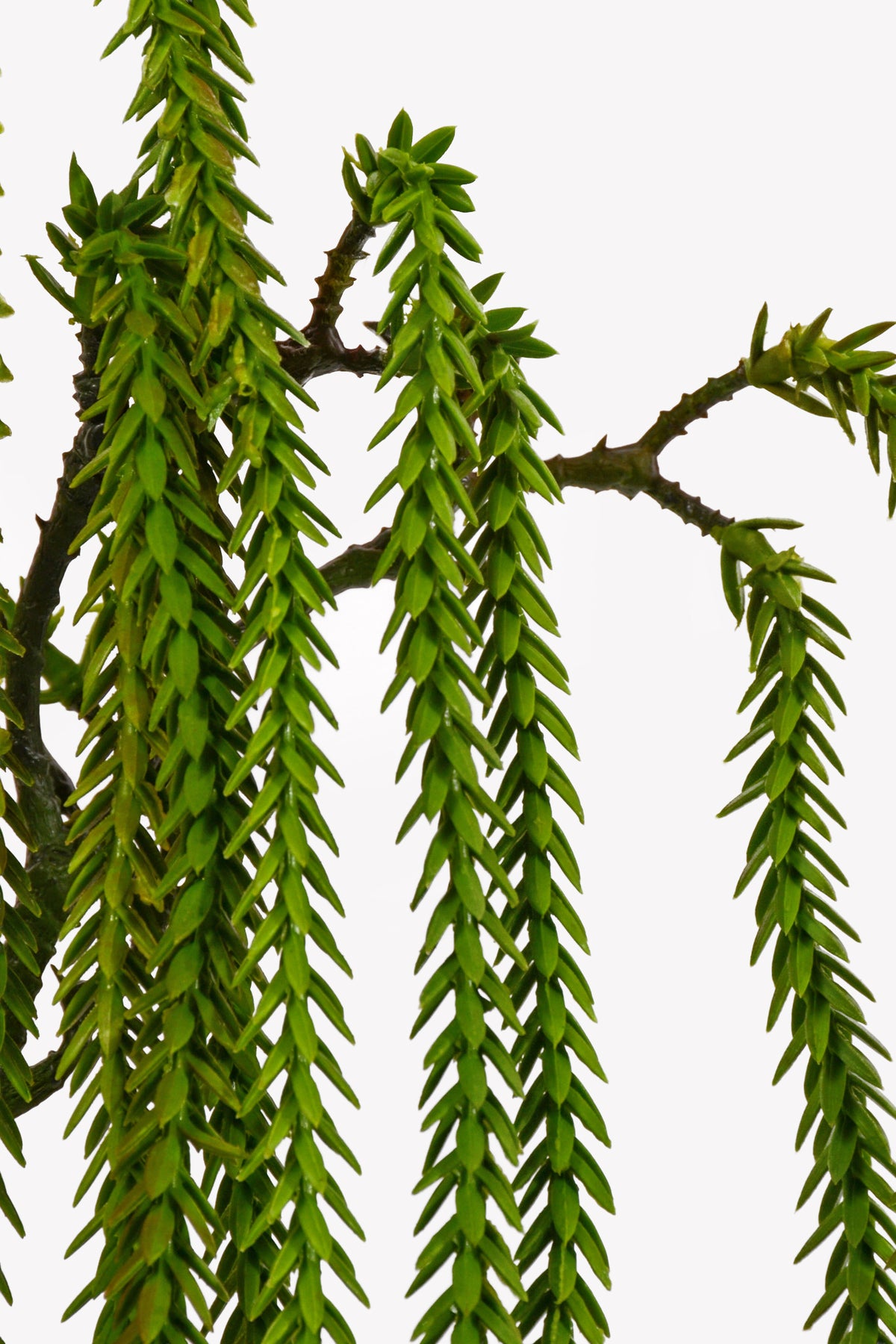 49" Hanging Willow Spray Green