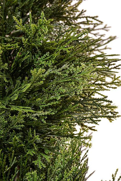 4Ft Spiral Cedar Topiary in a Pot Green