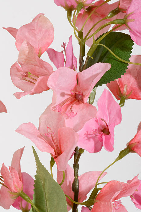 34.5&quot; Silk Bougainvillea Spray Pink