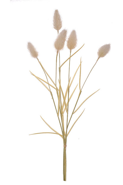 24" Foxtail Bundle Cream