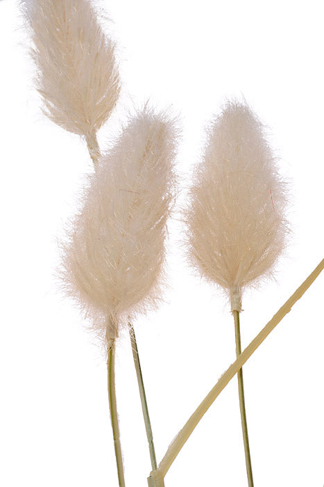 24" Foxtail Bundle Cream