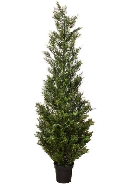 84" Cedar Topiary in a Pot Green