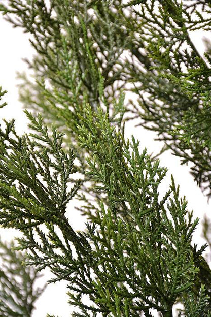 84" Cedar Topiary in a Pot Green