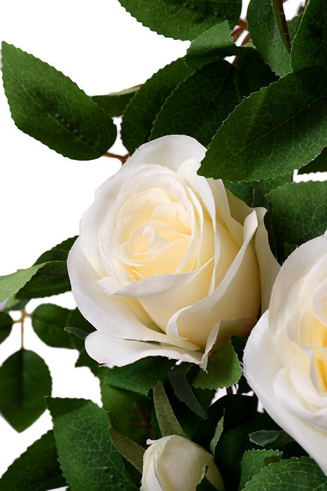 33.5" Rose Hanging Bush White/Green