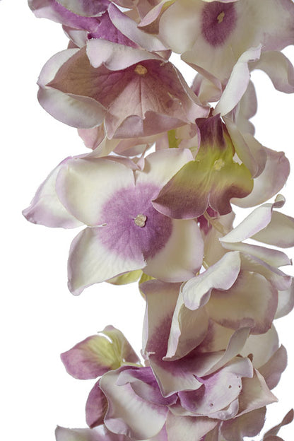 33" Hydrangea Garland Orchid