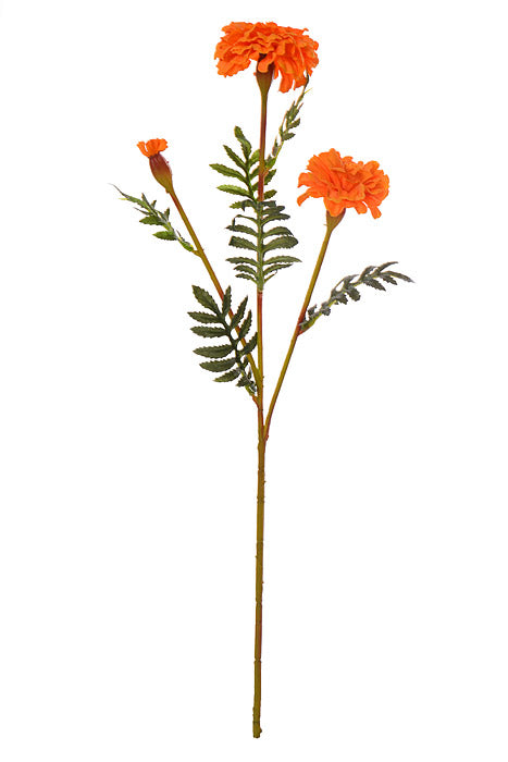 24.5" Marigold Spray Orange