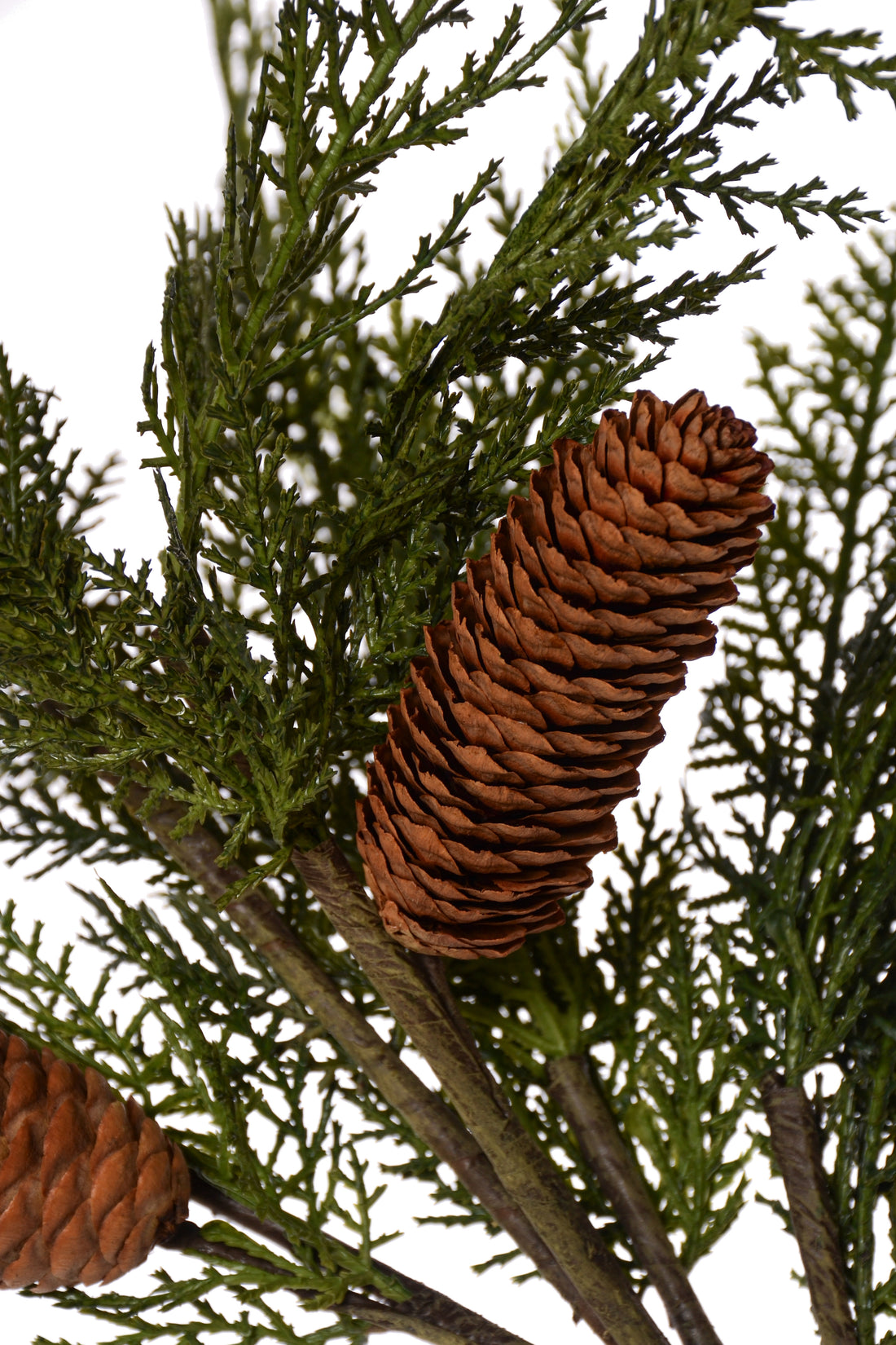 50" Cedar Spray With Pine Cone Green
