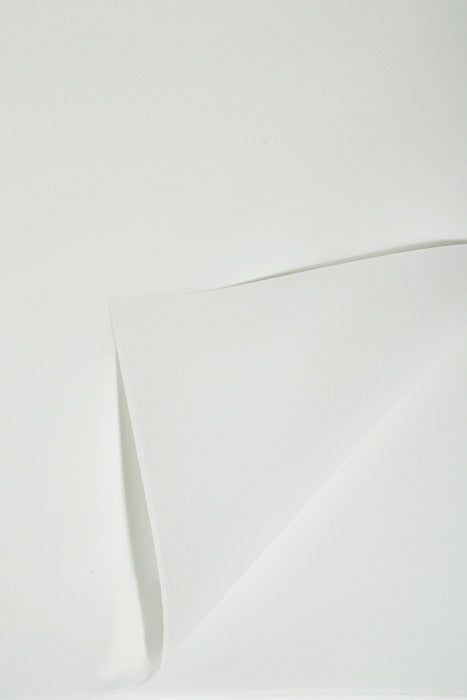 22.5" Waterproof Flower Wrapping Paper Winter Green Pkg/20