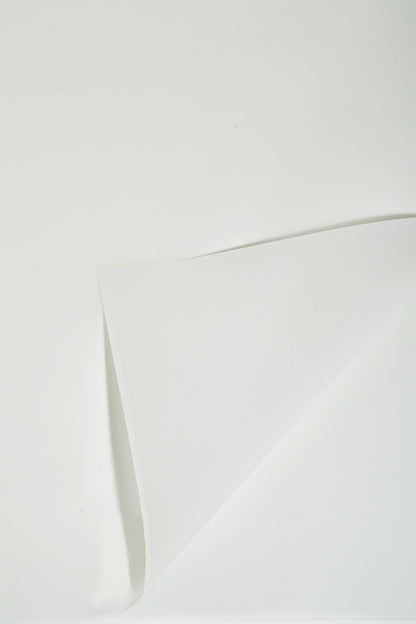 22.5" Waterproof Flower Wrapping Paper Winter Green Pkg/20