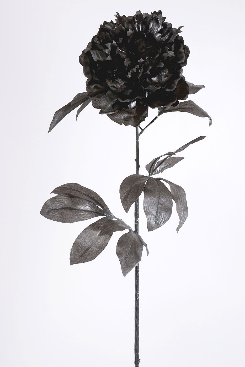 33" Silk Peony Spray Black
