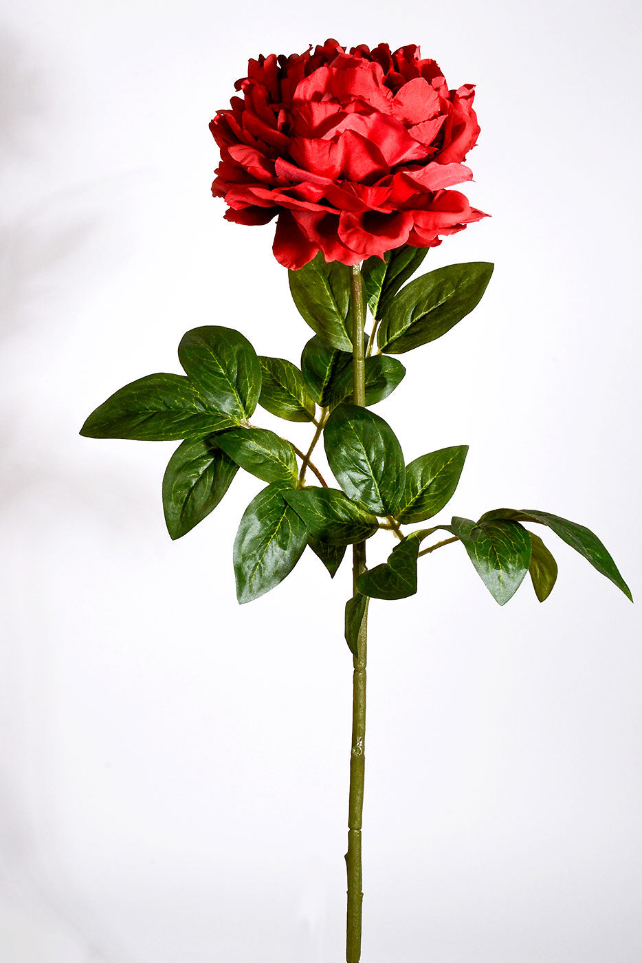 28" Silk Single Peony Red