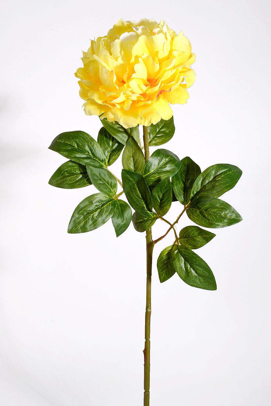 28" Silk Single Peony Yellow