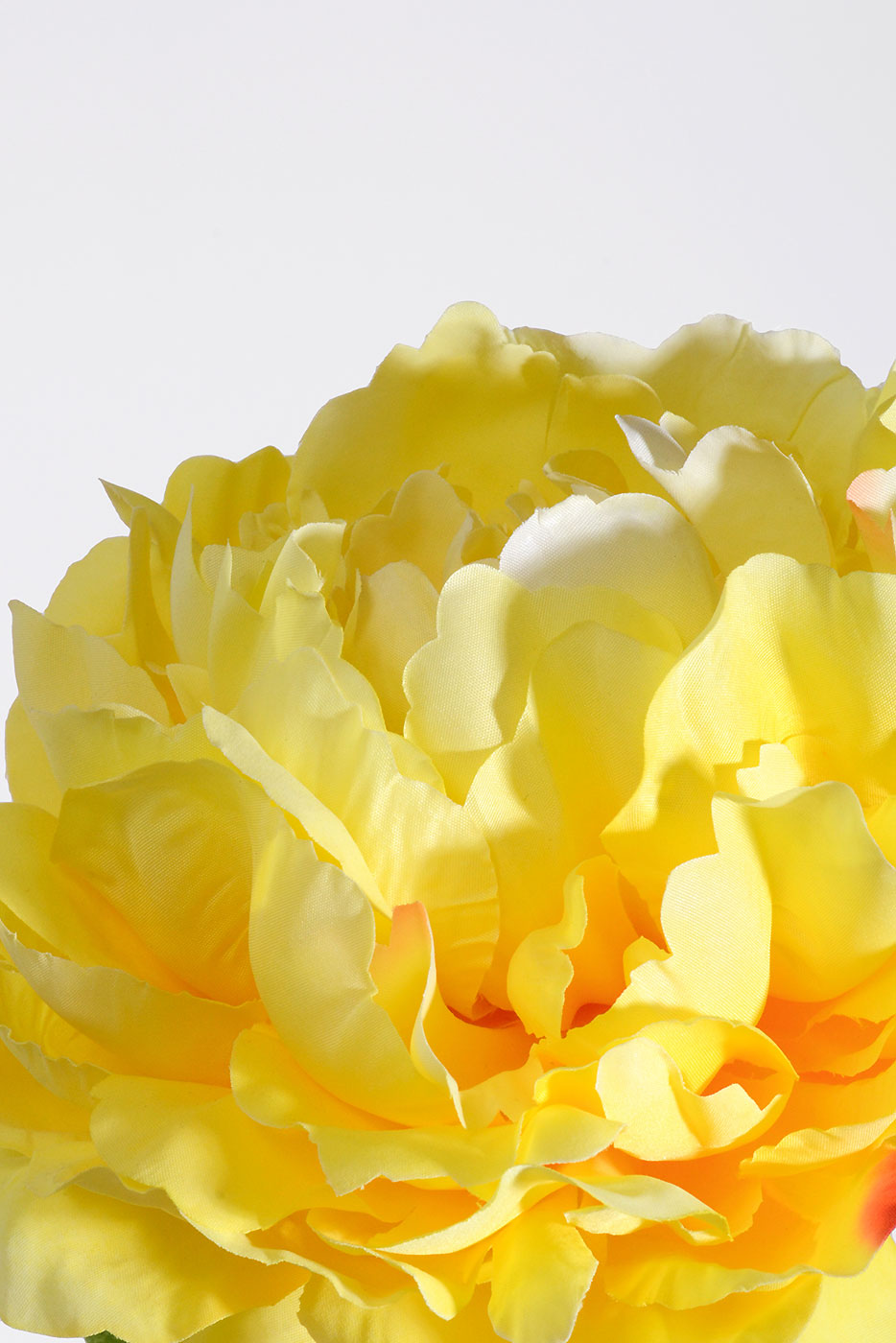 28" Silk Single Peony Yellow