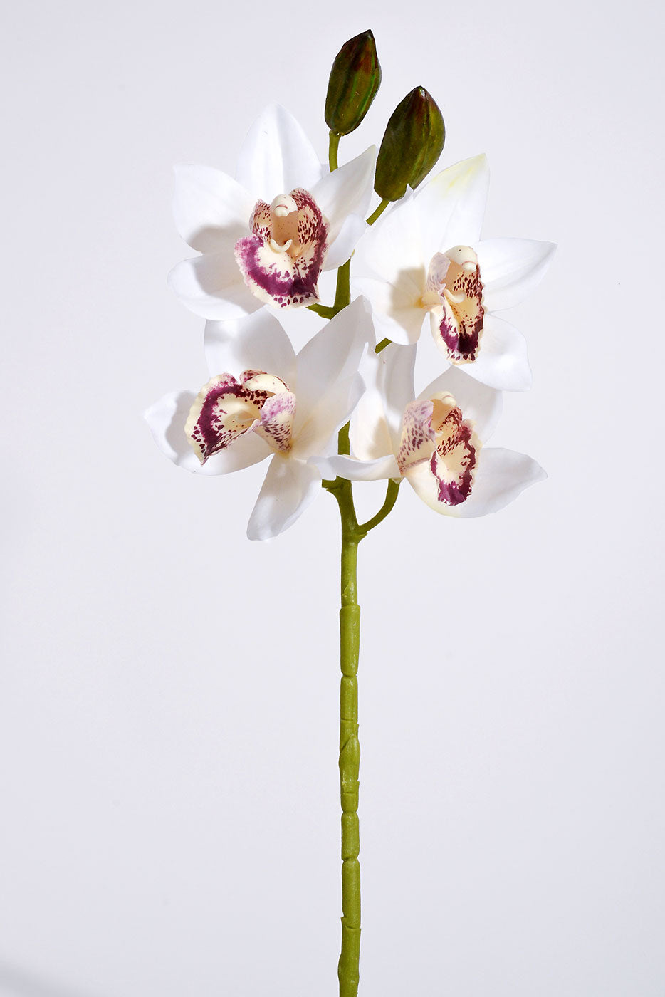 19" Silk Cymbidium Orchid Spray Cream/Burgundy