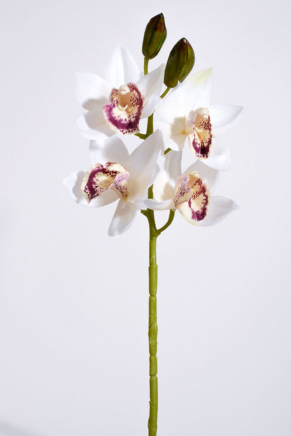 19" Silk Cymbidium Orchid Spray Cream/Burgundy