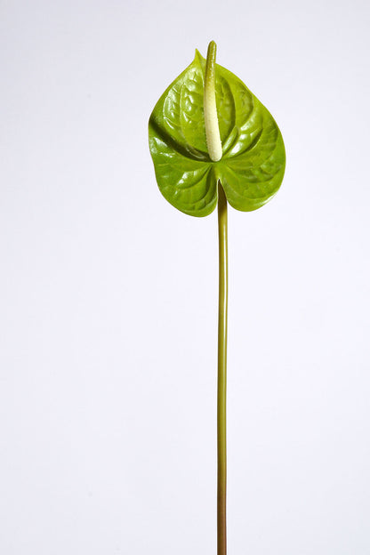 21" Artificial Anthurium Spray Green