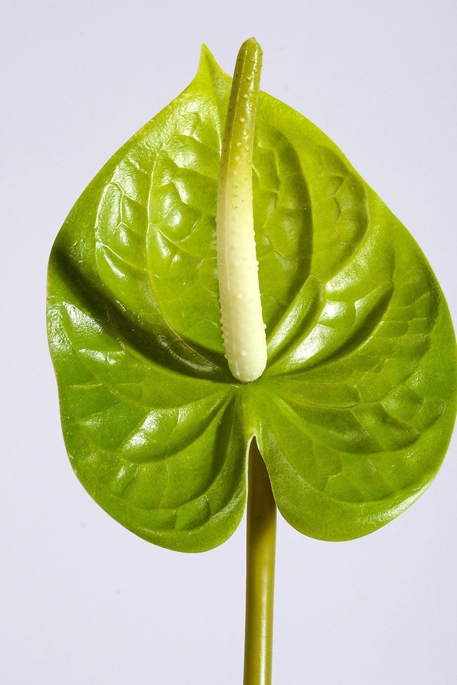 21" Artificial Anthurium Spray Green