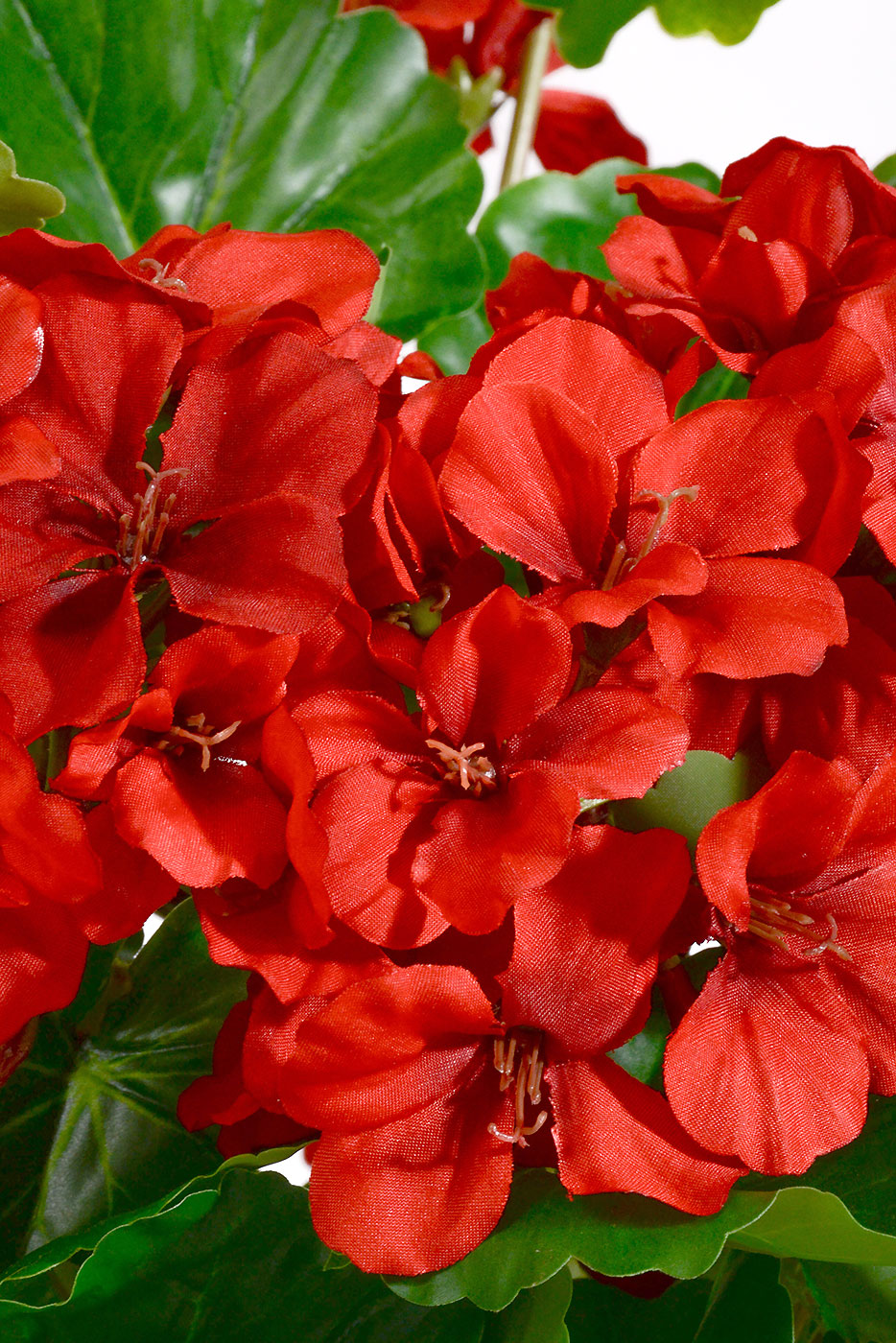 20" Uv Protect Silk Geranium Bush Red