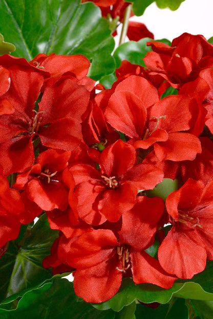 20" Uv Protect Silk Geranium Bush Red