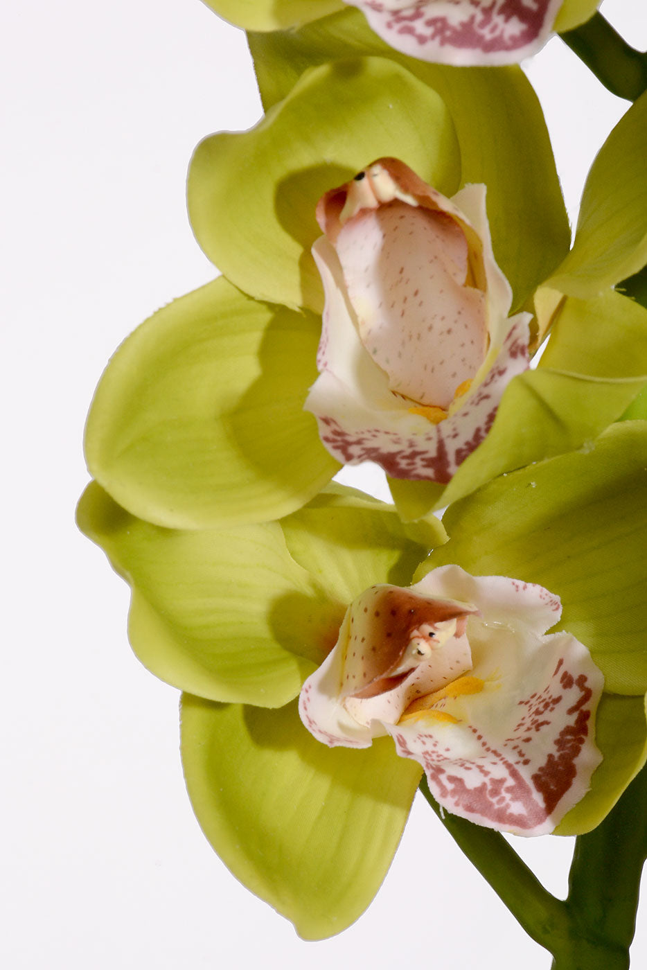 28.5" Silk Cymbidium Orchid Spray Green/Burgundy