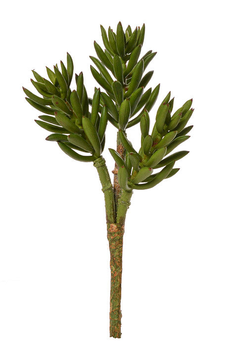 13" Succulent Spray Green