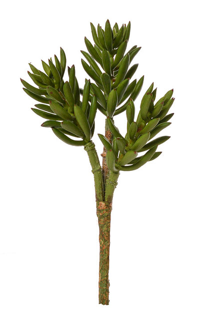 13" Succulent Spray Green
