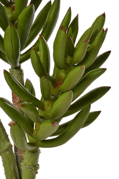 13" Succulent Spray Green