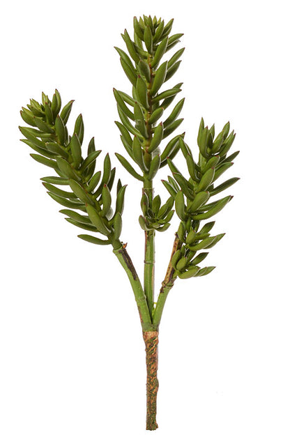 16" Succulent Spray Green