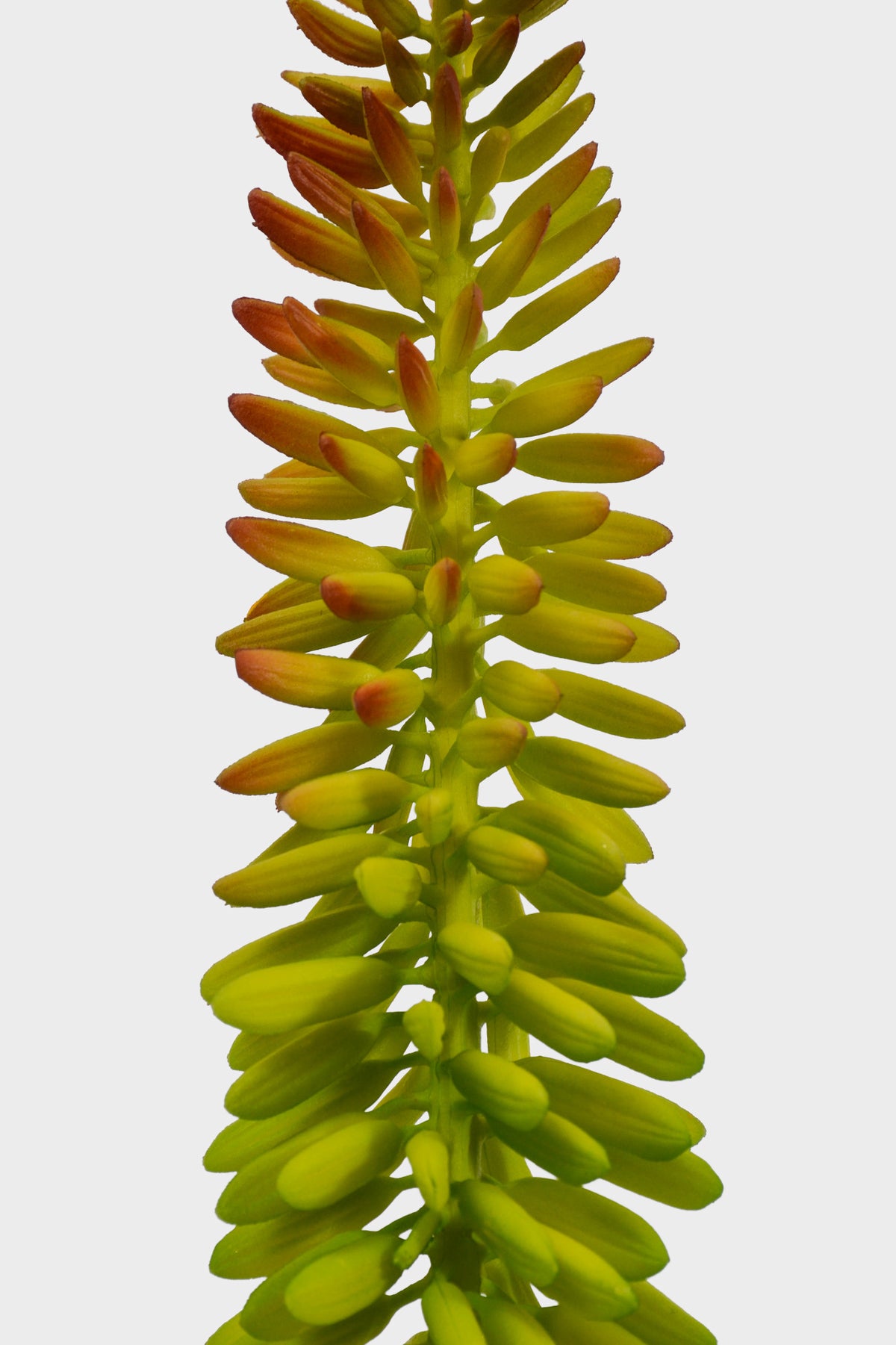 33" Artificial Aloe Vera Flower Green