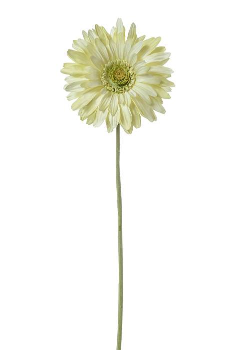 29" Silk Gerbera Daisy Light Green
