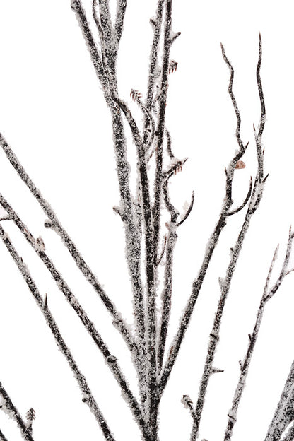 38" Snow Branch White/Natural
