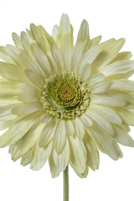 29&quot; Silk Gerbera Daisy Light Green