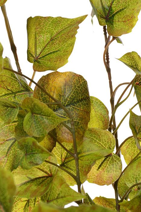 28" Cotton Wood Hanger Green