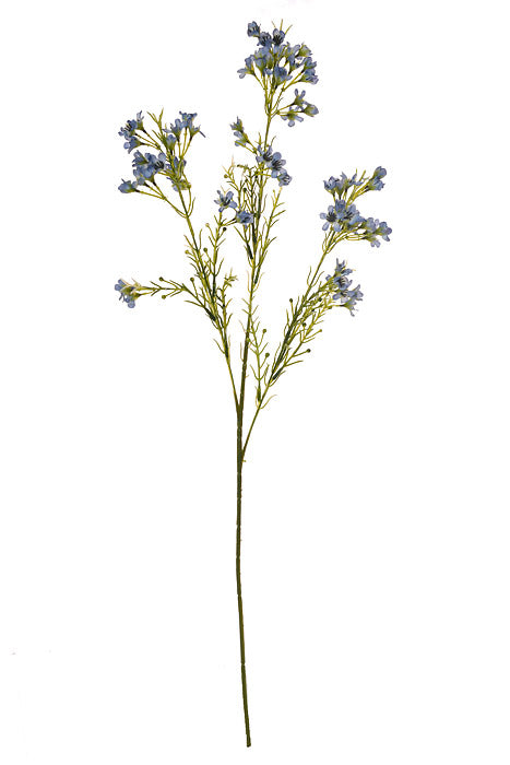 27&quot; Silk Waxflower Spray Blue