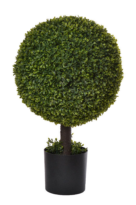 25" Boxwood Ball Topiary Green