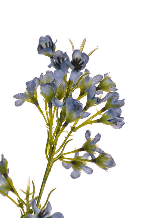 27&quot; Silk Waxflower Spray Blue
