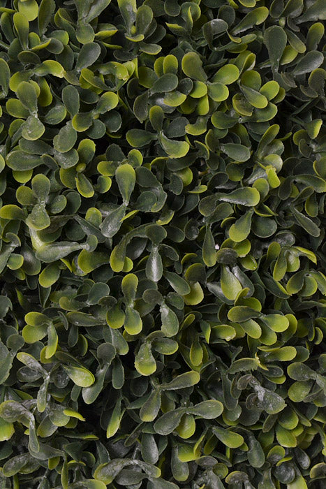 25" Boxwood Ball Topiary Green