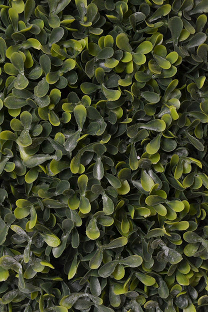 25" Boxwood Ball Topiary Green