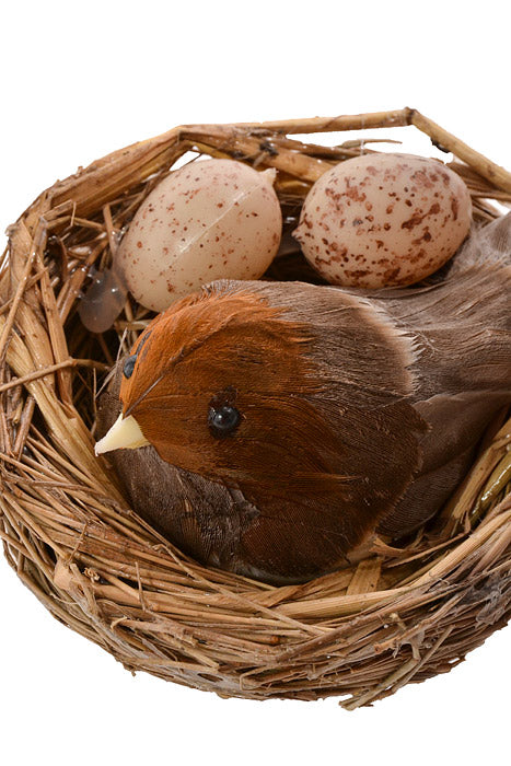 3.5" Chickadee in Nest W/2 Eggs Dark Brown