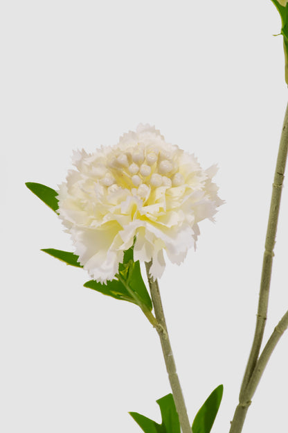 22" Silk Scabiosa Spray White
