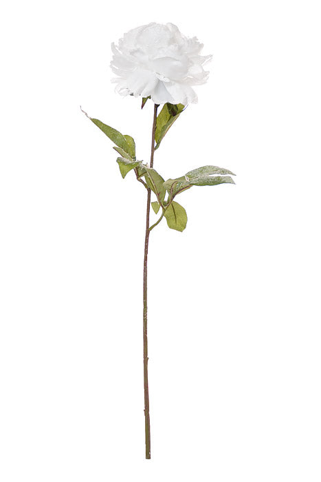 28" Snowed Peony Spray White
