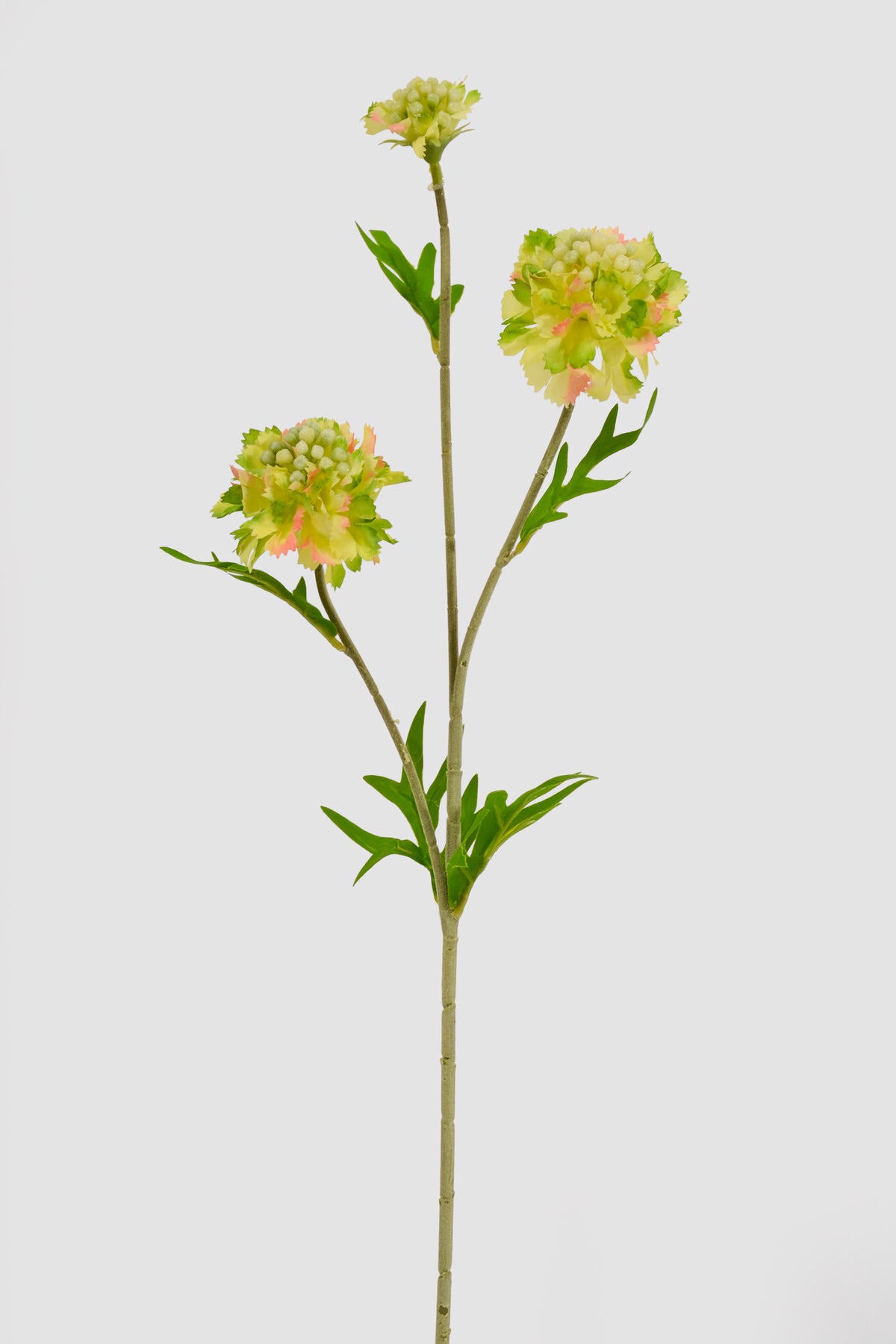 22" Silk Scabiosa Spray Green