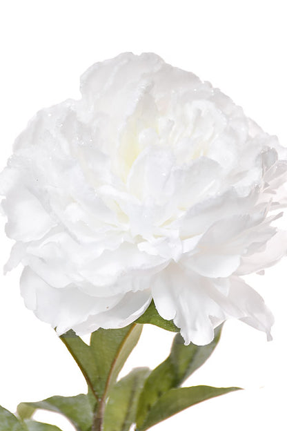 28" Snowed Peony Spray White