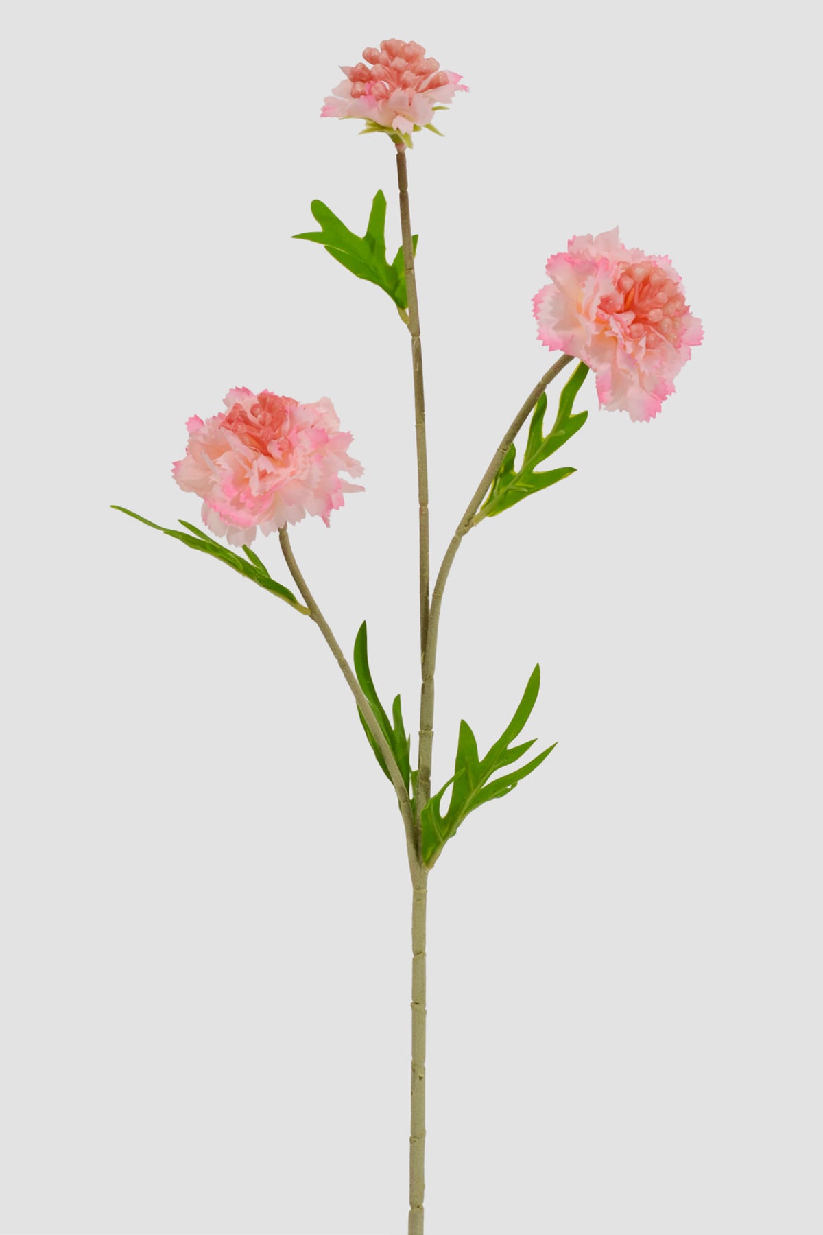 22" Silk Scabiosa Spray Pink