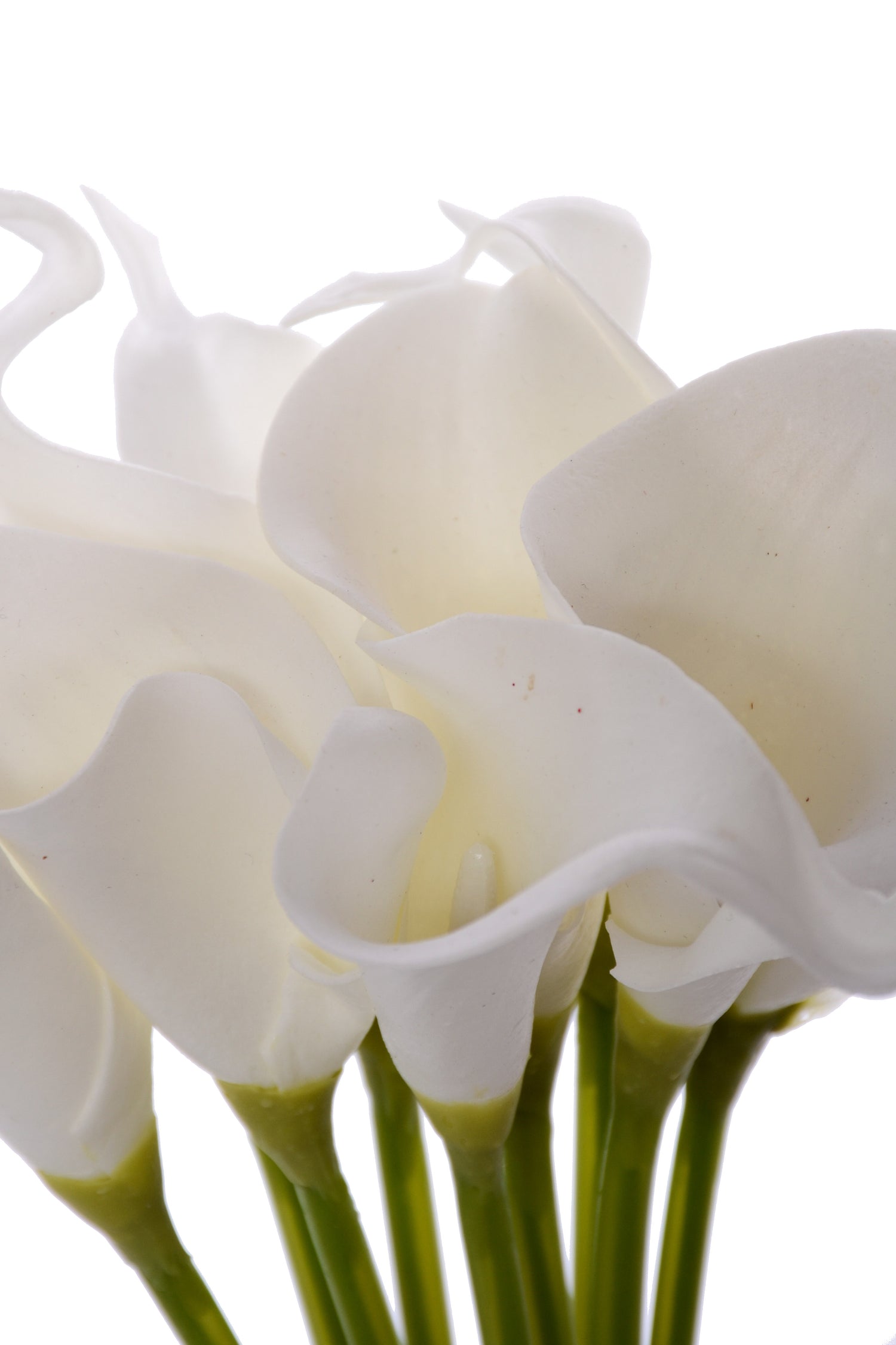 14" Calla Lily Bundle White