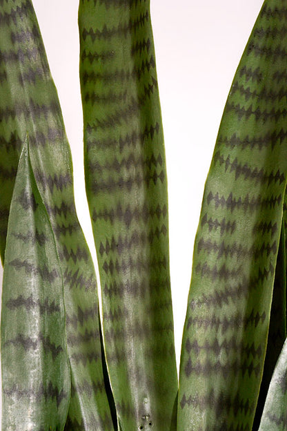 47" Artificial Sansevieria Plant In Pot Green