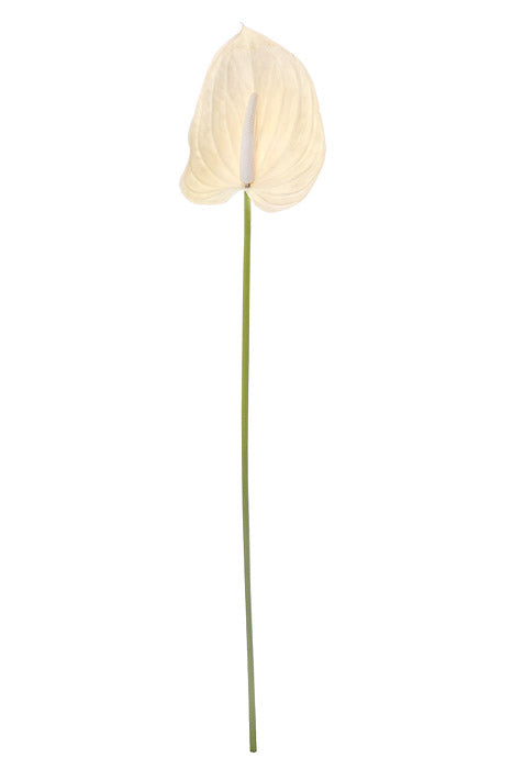 29" Faux Anthurium White