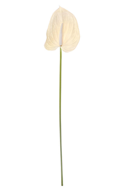 29" Faux Anthurium White